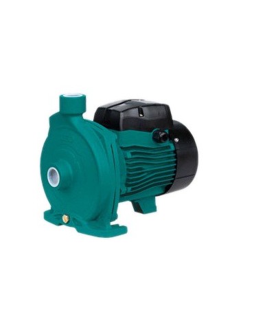 Elettropompa Centrifuga Autoadescante Bigirante HP 1,50 2ACM110 Leo Inox 2