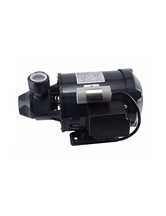 ELETTROPOMPA LOWARA PM16/A HP 0,4 ELETTROPOMPA LOWARA PM16/A HP 0,4